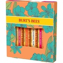 Burt S Bees Beeswax Bounty Just Picked Lip Balm Gift Set  4-Pack  0.15 Oz